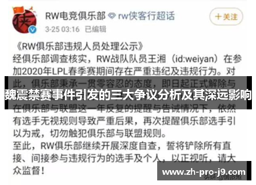 魏震禁赛事件引发的三大争议分析及其深远影响