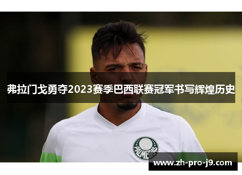 弗拉门戈勇夺2023赛季巴西联赛冠军书写辉煌历史
