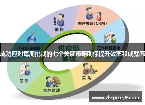 成功应对每周挑战的七个关键策略助你提升效率和成就感