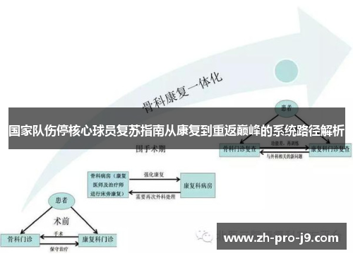 国家队伤停核心球员复苏指南从康复到重返巅峰的系统路径解析 国家队伤停核心球员复苏指南从康复到重返巅峰的系统路径解析