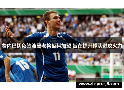 费内巴切免签波黑老将哲科加盟 旨在提升球队进攻火力